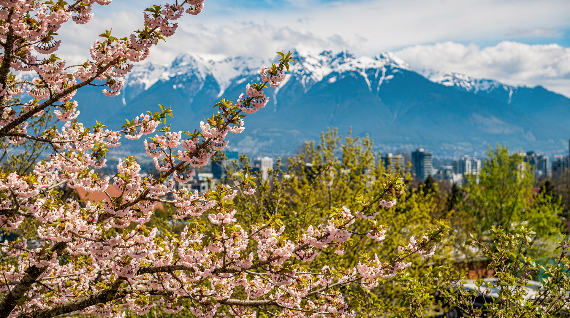 Spring in Canada: cherry blossoms to icefields