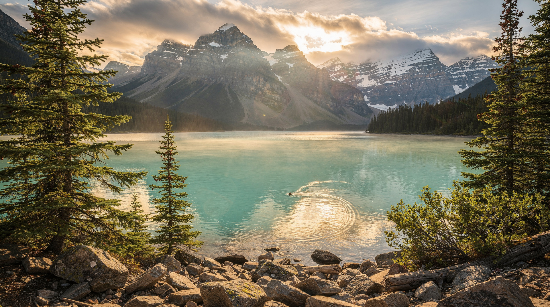 Montreal's baking scene spans world-famous bagel ovens, French patisserie tradition, and a new wave of artisan sourdough bakers. Here's where to go.