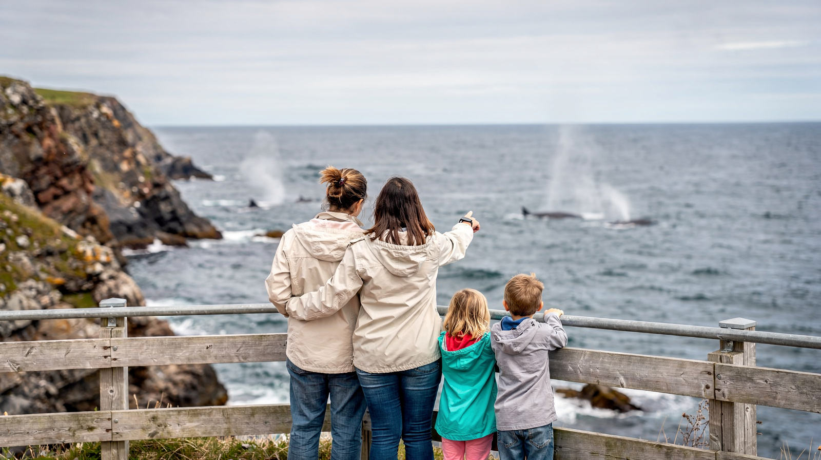 St. John's a misura di famiglia — Signal Hill, puffin, Geo Centre, pub adatti ai bambini, Railway Museum e le migliori gite giornaliere con i piccoli.