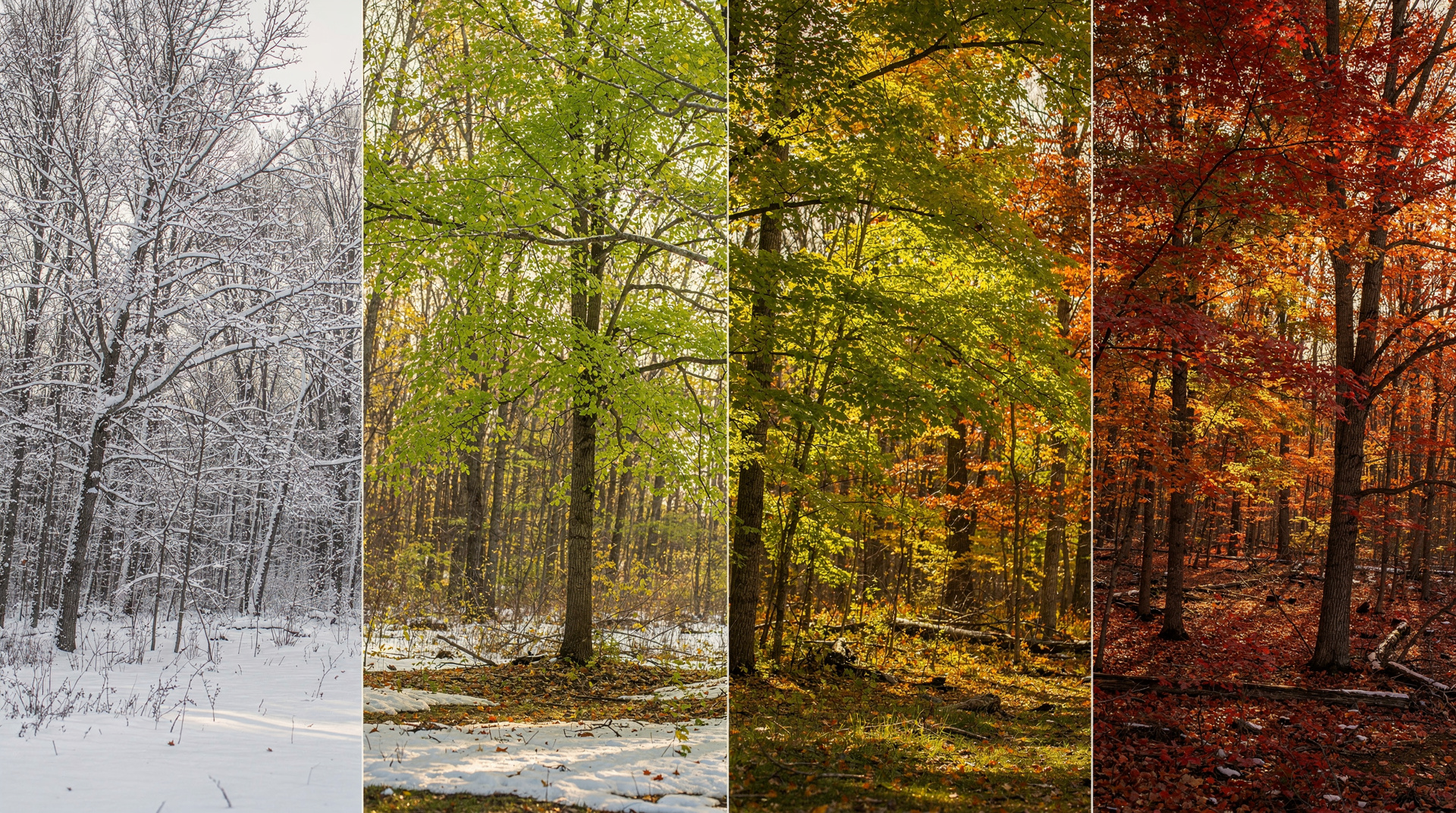 Best time to visit Canada: a month-by-month guide