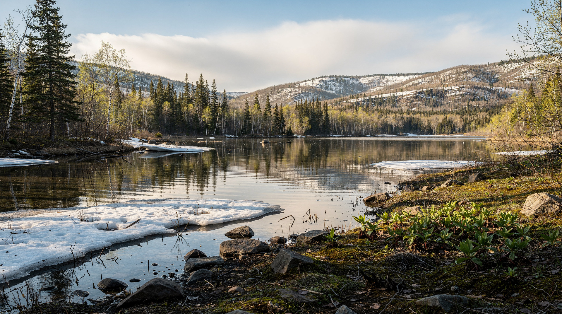 Canada in October: peak fall colours in Algonquin and Quebec, moose rutting season, polar bears at Churchill, and harvest festivals across the country.