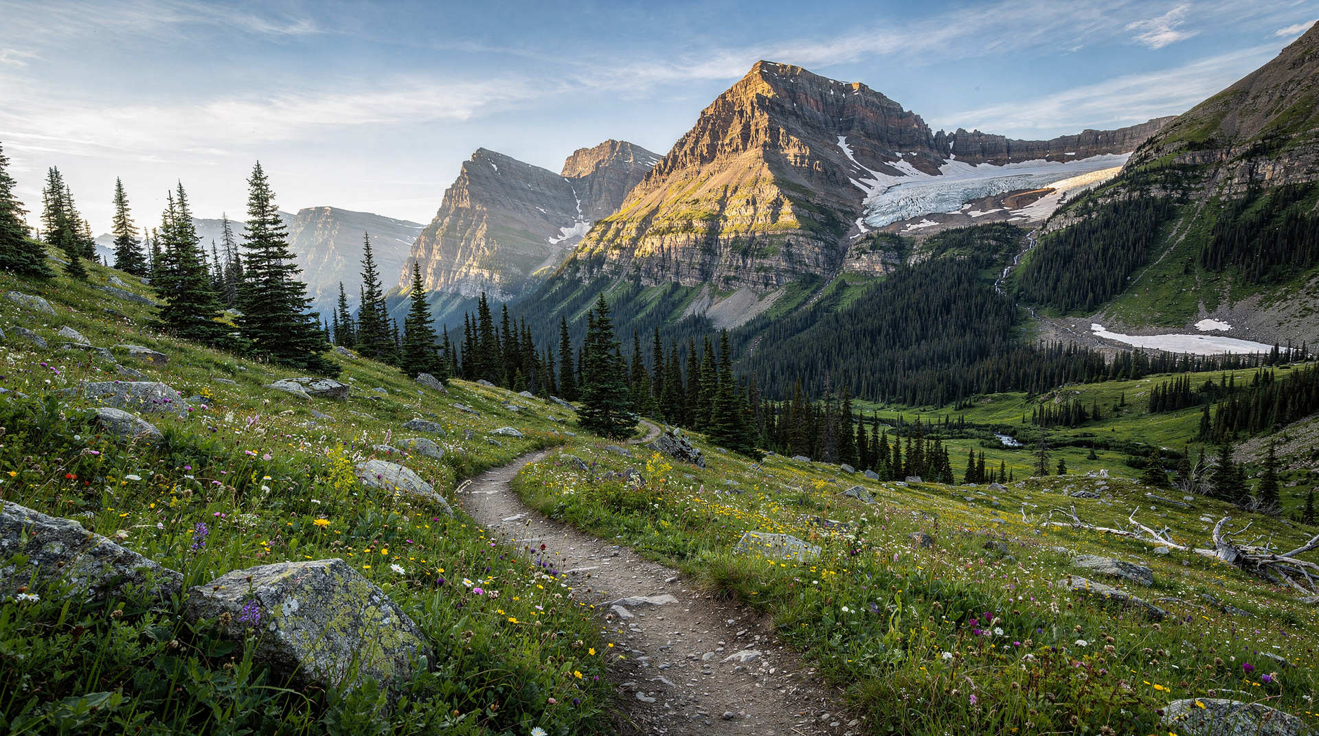 Cavell Meadows hike: wildflowers & Angel Glacier
