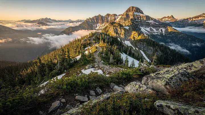 Grouse Mountain Vancouver: Skyride, rifugio orsi grizzly e Lumberjack Show