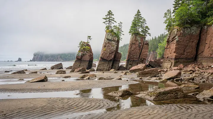 Rocas Hopewell: geología, historia y guía de la Bahía de Fundy