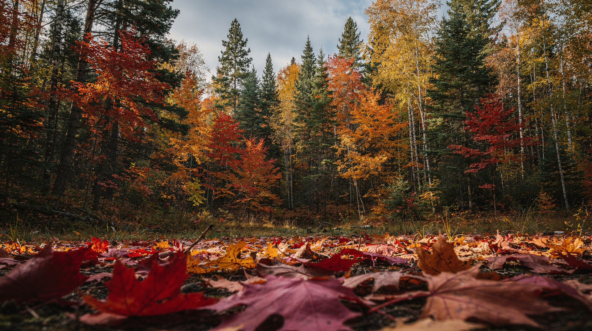 Johnston Canyon hike: lower & upper falls guide
