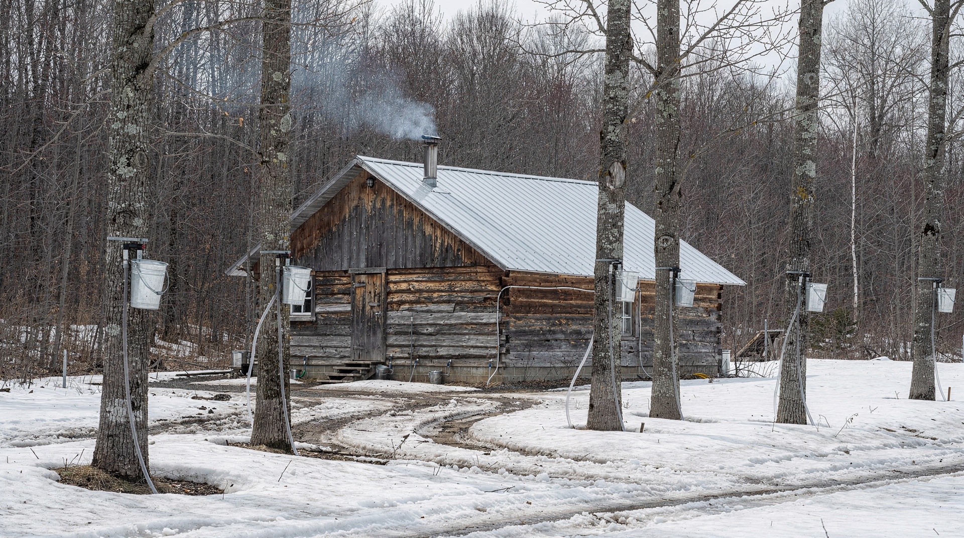 Maple syrup tours: Quebec's sugar shacks and beyond