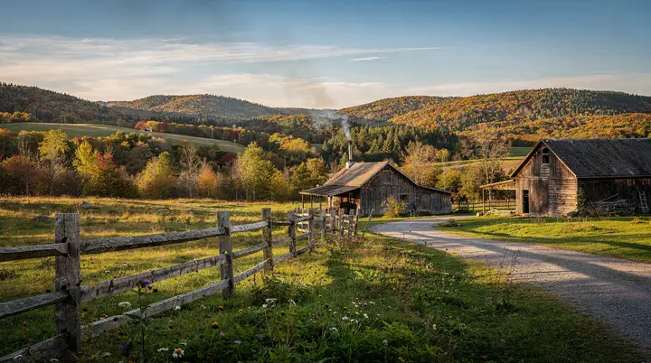La carne ahumada de Montreal: guía completa