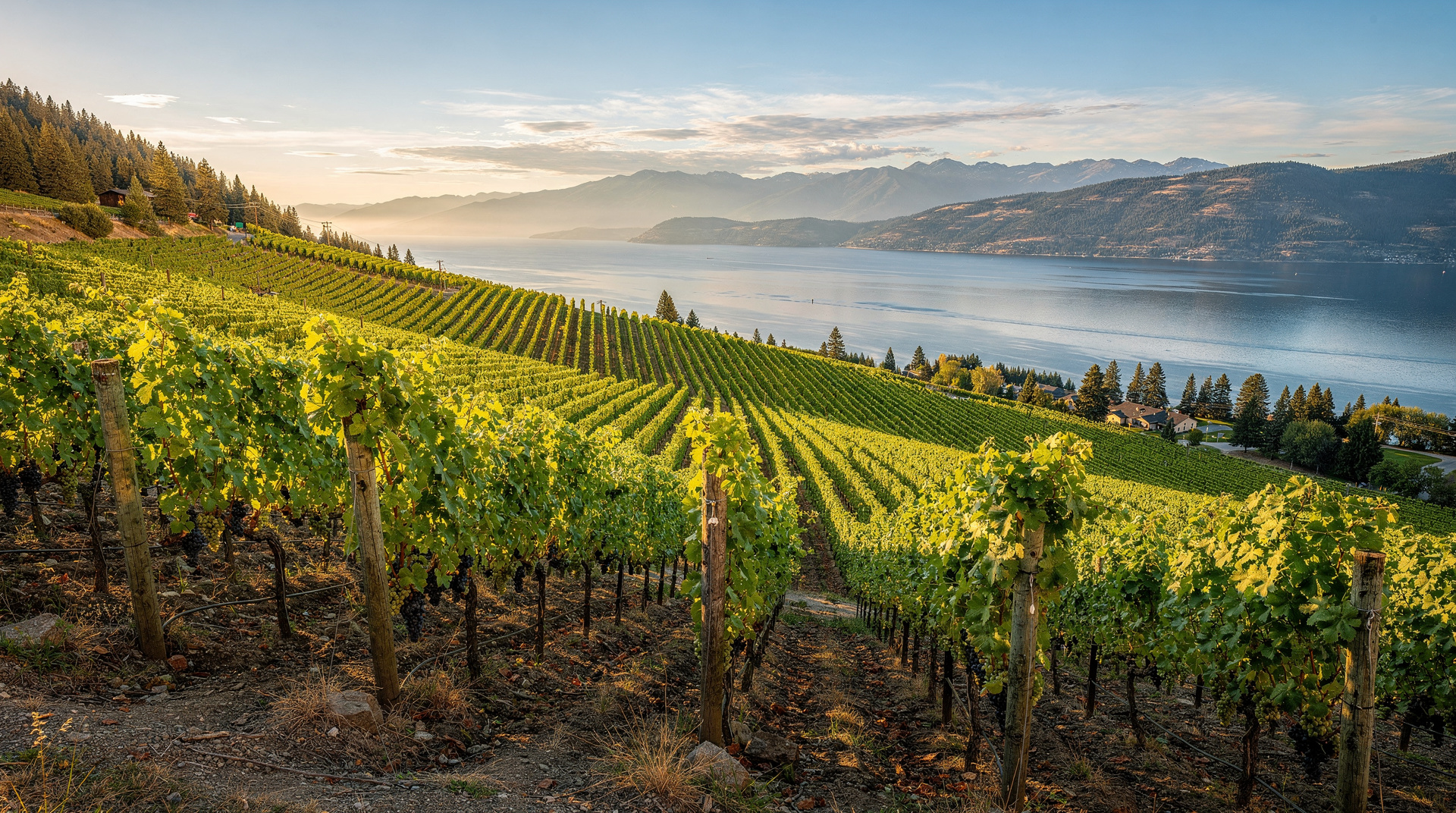 Okanagan wine country: BC's world-class wine region