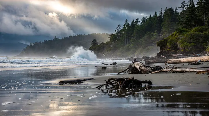 Pacific Rim National Park Reserve: la costa ovest selvaggia di Vancouver Island