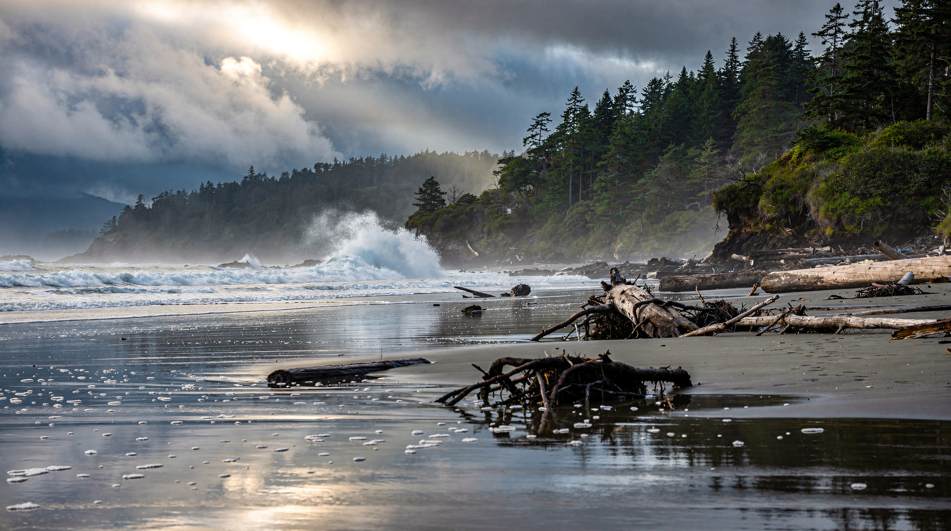 Pacific Rim National Park Reserve: the wild west coast of Vancouver Island
