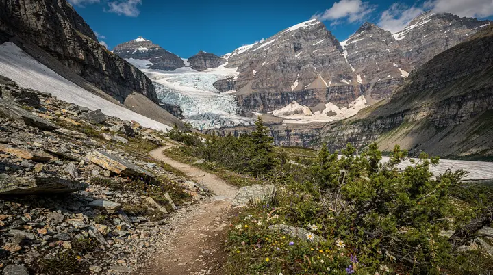 Senderismo Llanura de los Seis Glaciares y casa de té: todo lo que necesitas saber