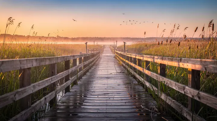 Guida al Point Pelee National Park: migrazione degli uccelli all'estremità più meridionale del Canada