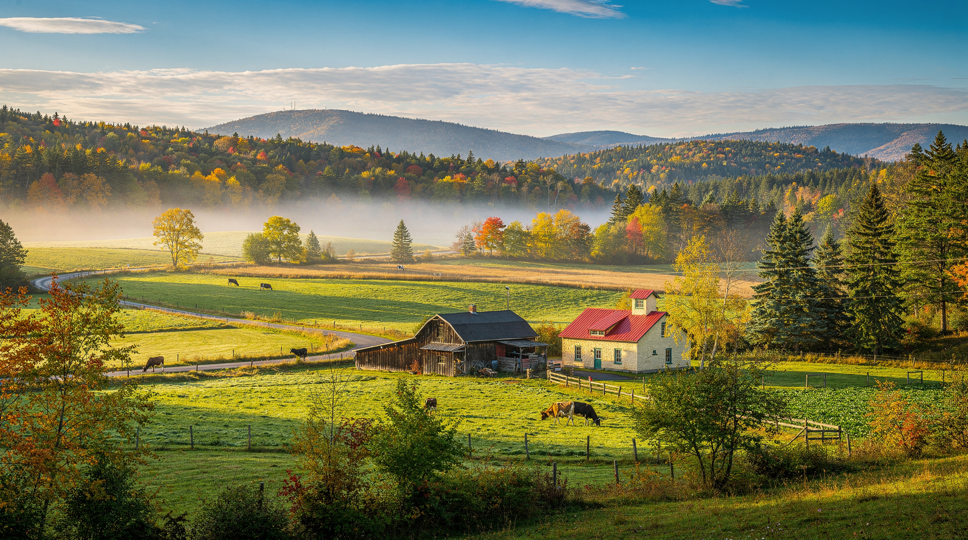 Route des Fromages Quebec: artisan cheese tour by region