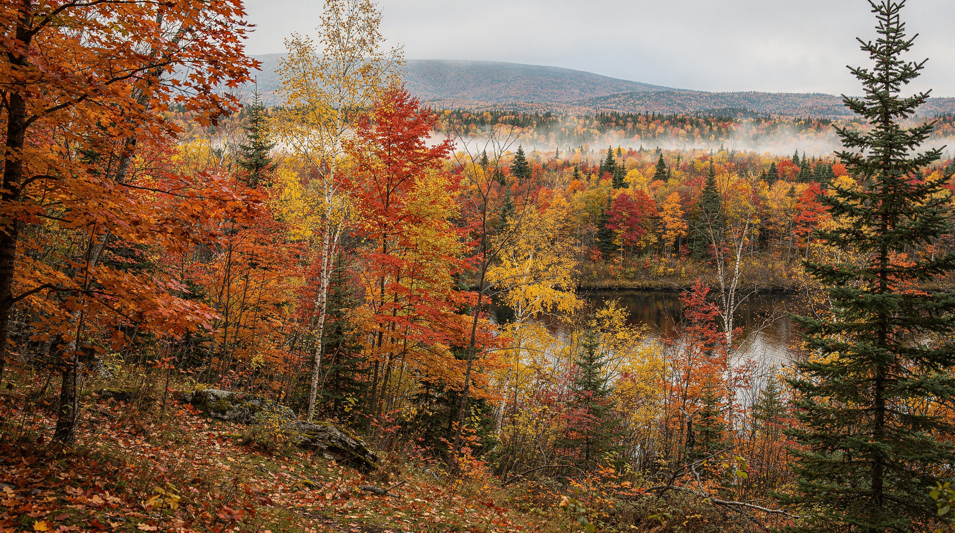 Quebec fall itinerary: 7 days chasing peak foliage