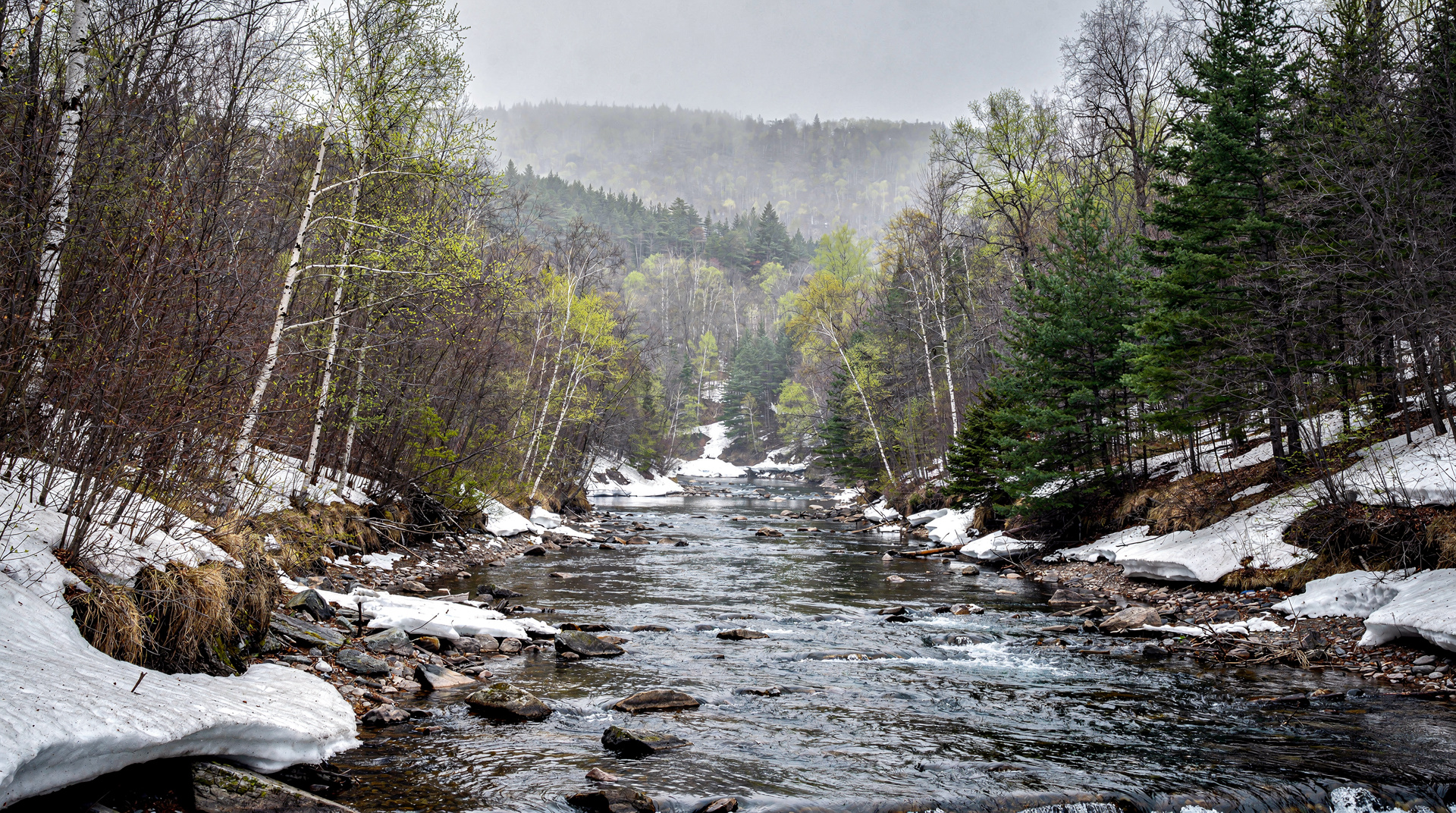 Quebec in April: sugar shacks, snow geese and first thaws