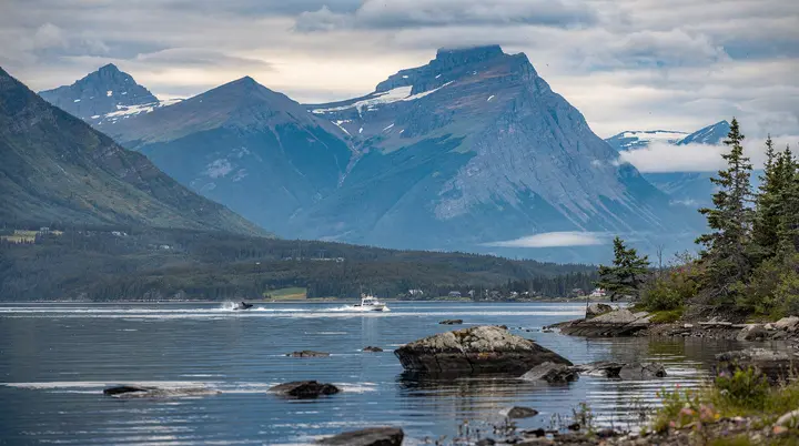 Stagione delle balene in Quebec: guida mese per mese al San Lorenzo