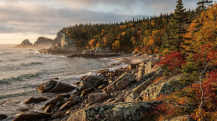 Guida al Parco Nazionale di Terra Nova: la natura boreale costiera di Newfoundland