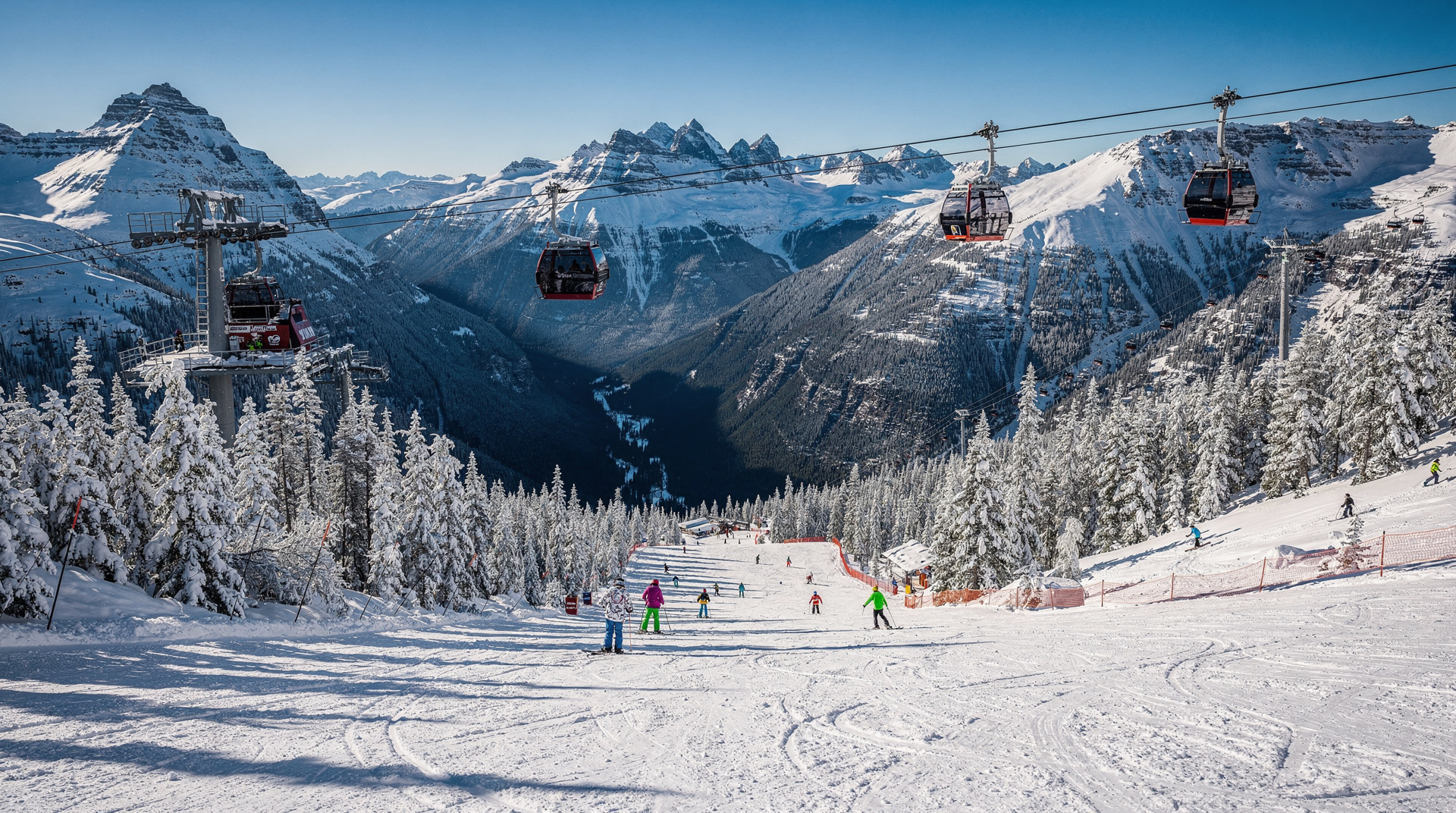 Whistler Bike Park: The Complete Summer Downhill Guide