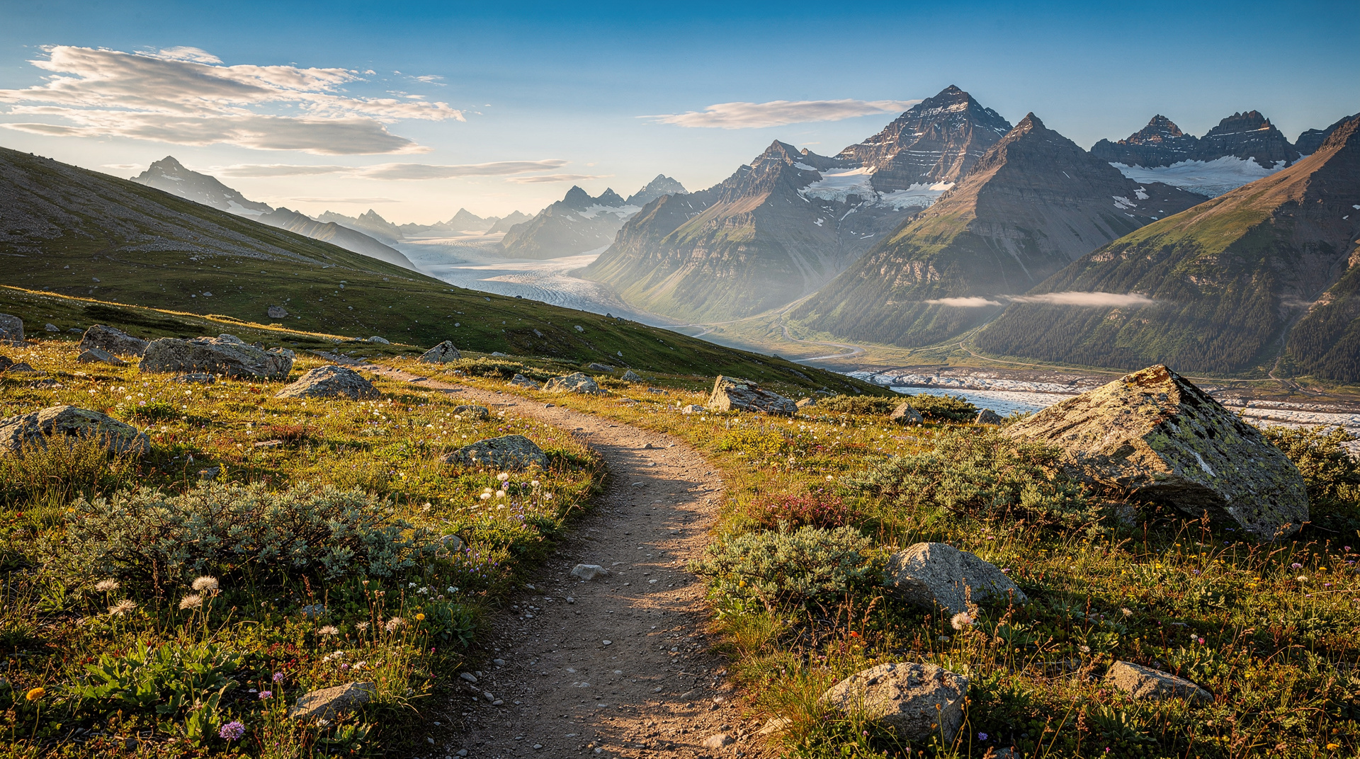 Wilcox Pass hike: best viewpoint on the Icefields Parkway