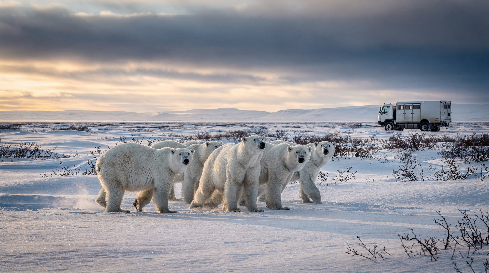 A complete 5-day Churchill polar bear itinerary — from Winnipeg arrival to tundra buggy days, Cape Merry, the Northern Studies Centre and the journey home.